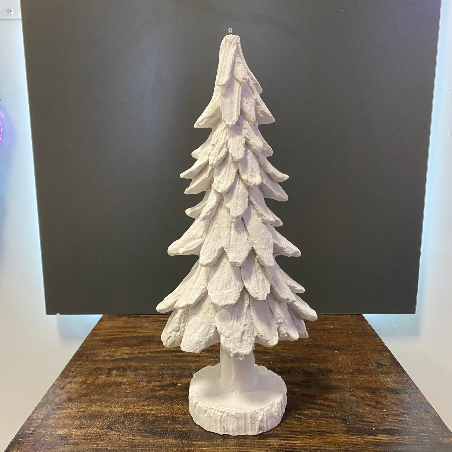 Kaideli Büyük Çam Ağacı