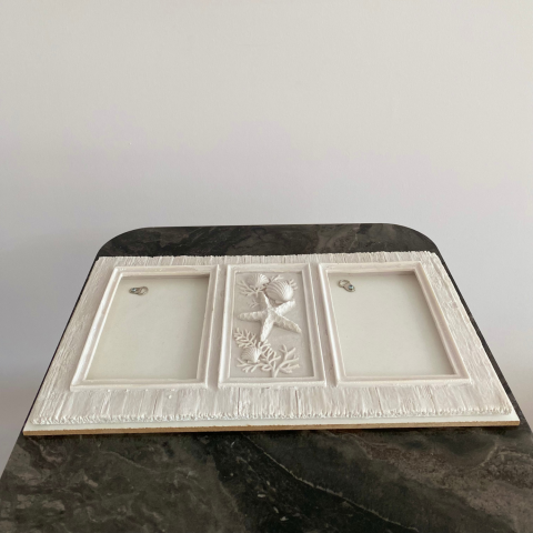 Deniz Kabuklu Fotoğraf Resim Çerçeve