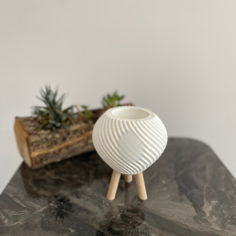 Ahşap Ayaklı Küçük Kaktüs Saksı