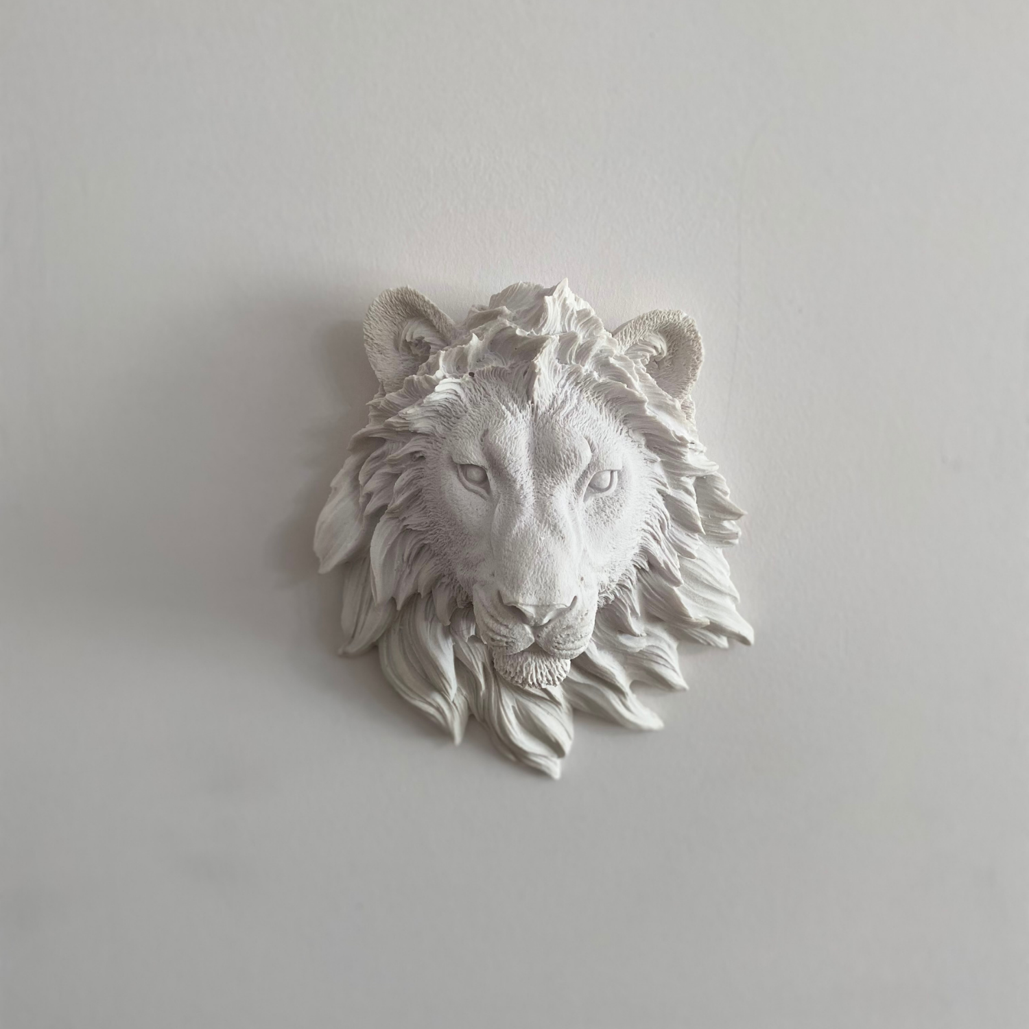 Aslan Kafası Duvar Dekoru