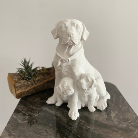 2 Yavrulu Golden Retriever Köpek