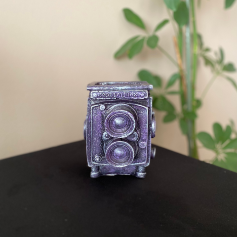 Dekoratif Retro Fotoğraf Makinası Saksı