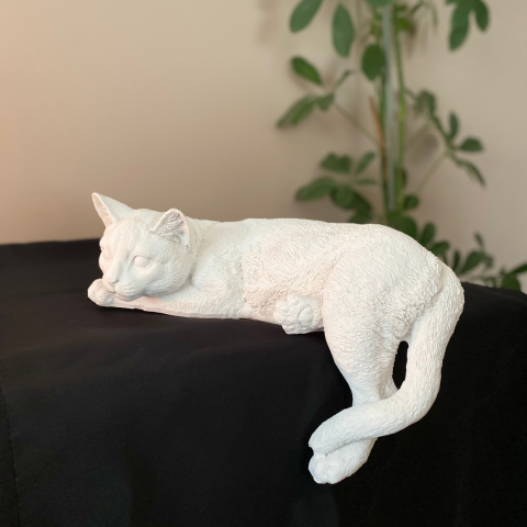 Yatan Uzanan Kedi