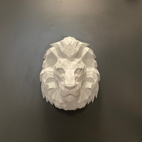 Kübik Duvar Aslan