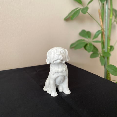 Mini Köpek Golden