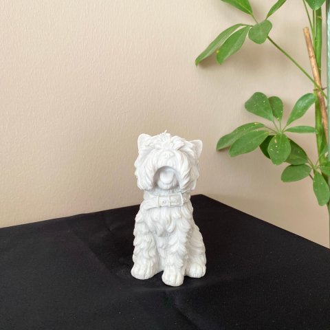 Mini Tüylü Köpek