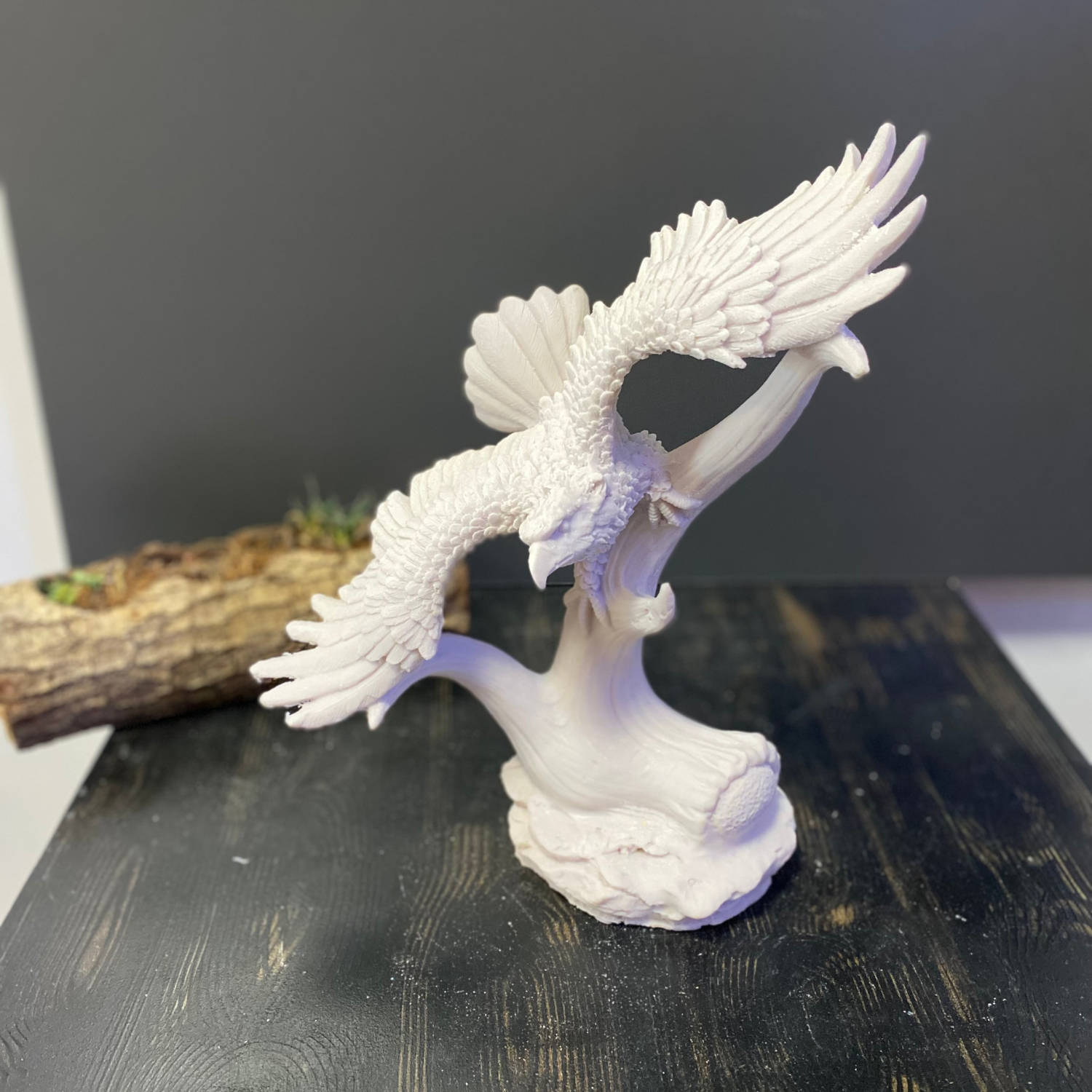 Kanatları Açık Kartal