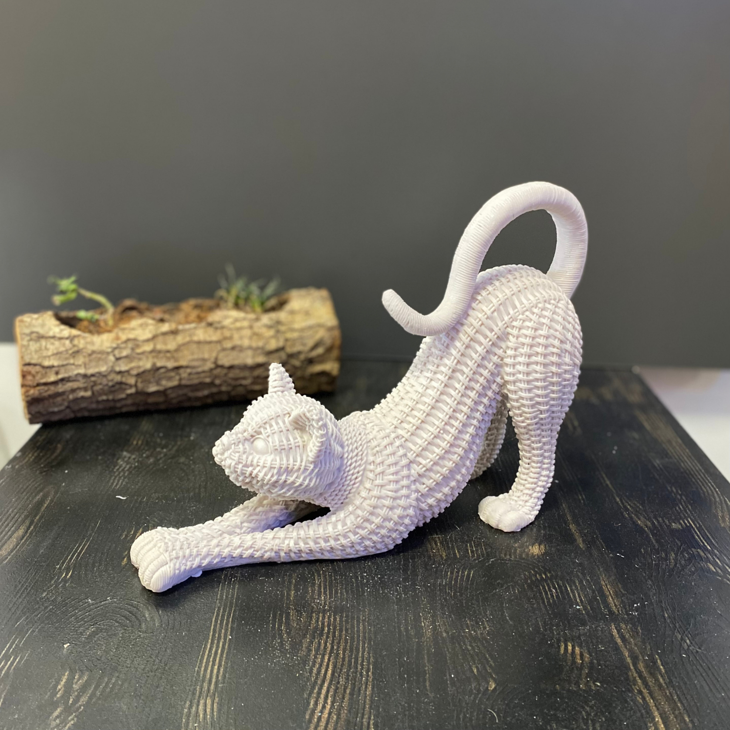 Hasır Esneyen Kedi