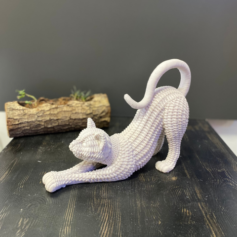 Hasır Esneyen Kedi