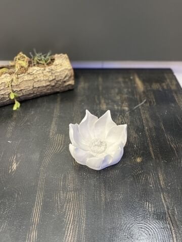 Lotus Çiçek Küçük