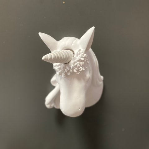 Unicorn Pony Duvar Dekoru