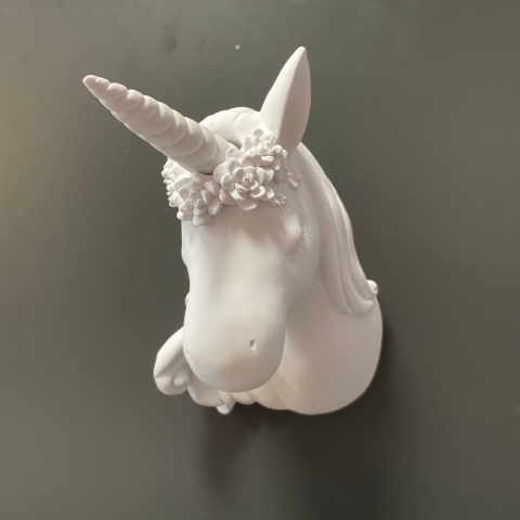 Unicorn Pony Duvar Dekoru