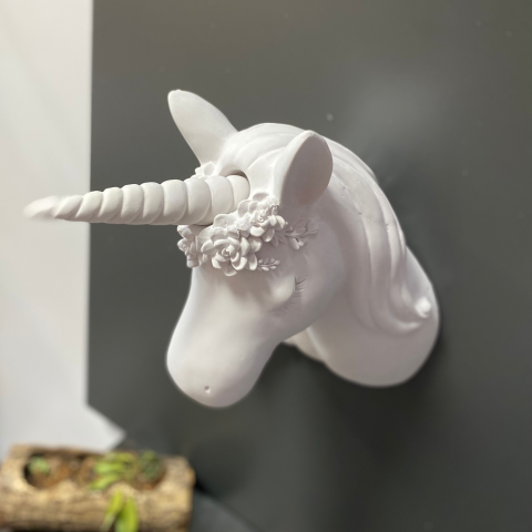 Unicorn Pony Duvar Dekoru