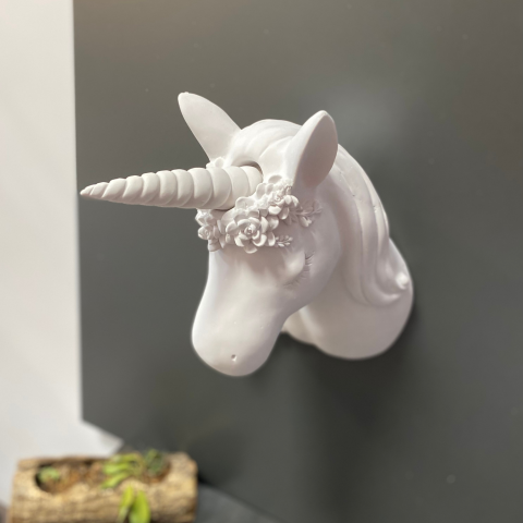 Unicorn Pony Duvar Dekoru