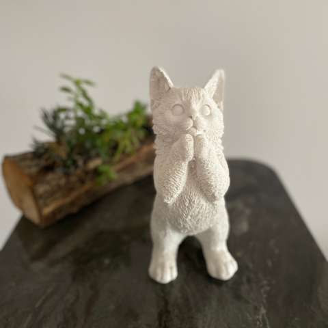 Ayakta Kedi