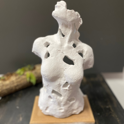 Soyut Kadın Torso