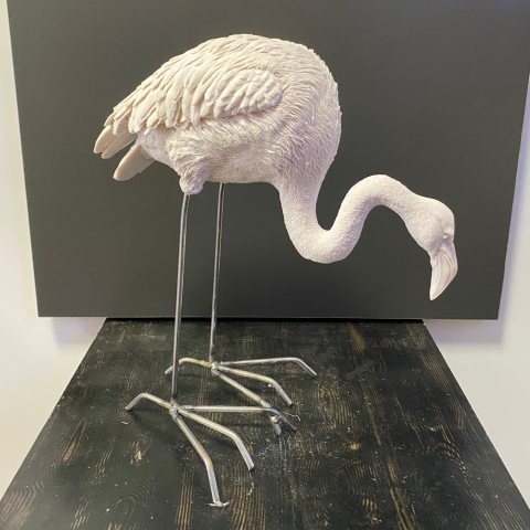 Demir Ayaklı Kıvrık Flamingo