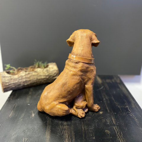 Çift Yavrulu Golden Retriever Köpek