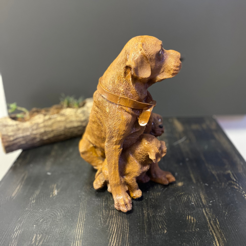 Çift Yavrulu Golden Retriever Köpek