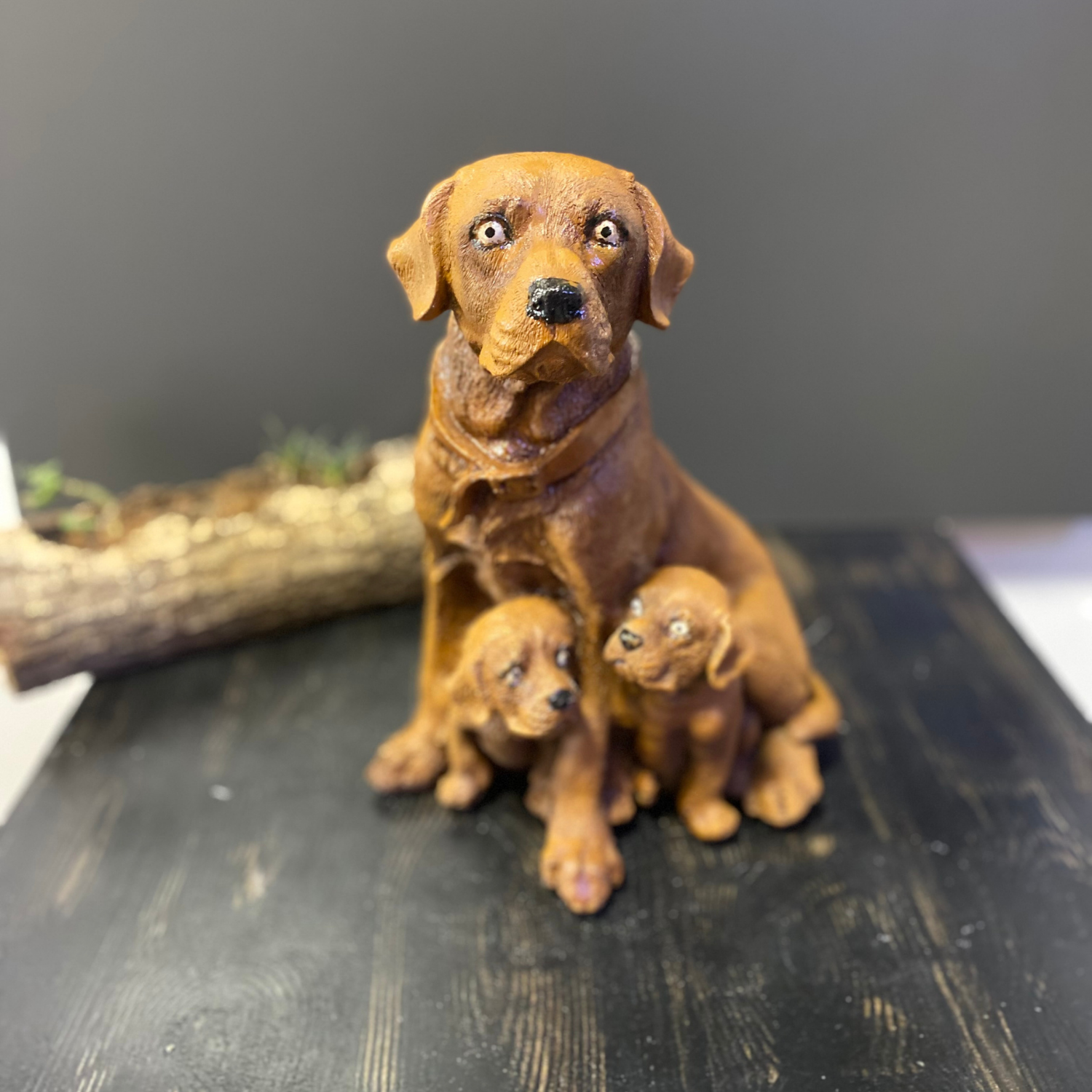 Çift Yavrulu Golden Retriever Köpek