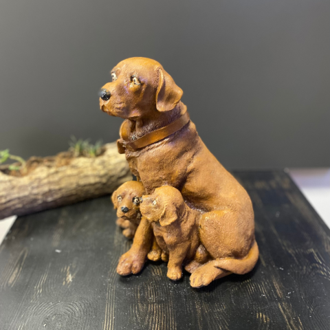 Çift Yavrulu Golden Retriever Köpek