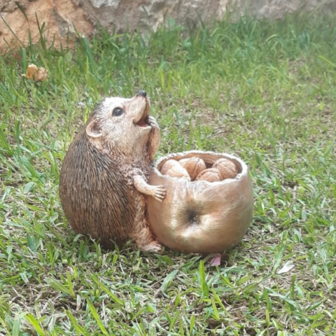 Kirpi Saksı