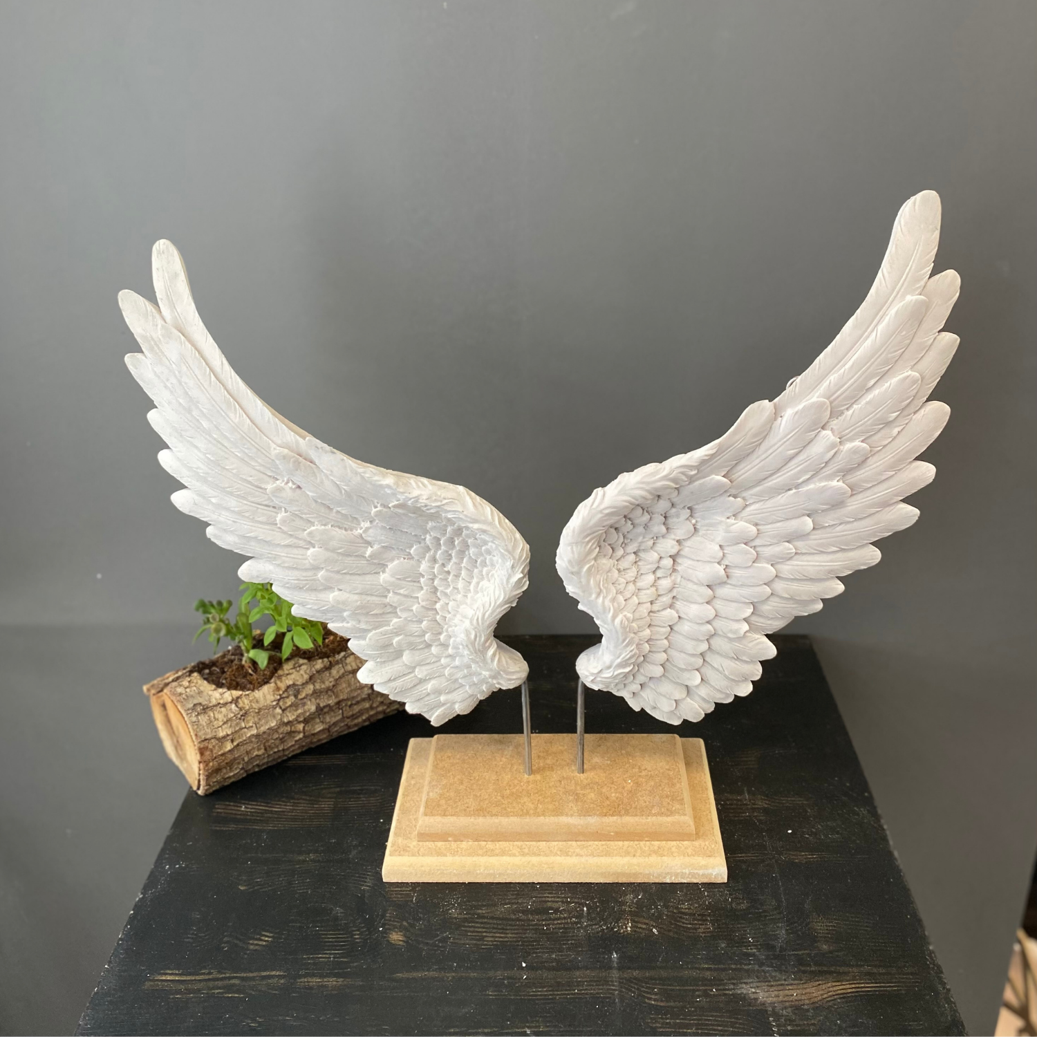 Kaideli Melek Kanadı Büyük