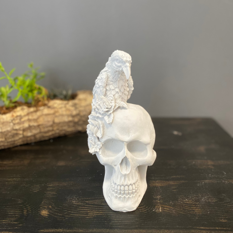 Kurukafa Üzeri Çiçek ve Karga