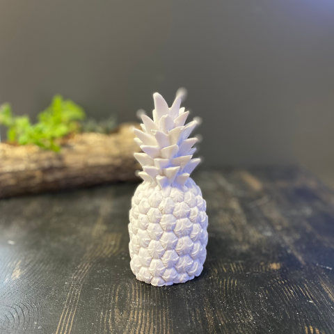 Dikenli Ananas Küçük