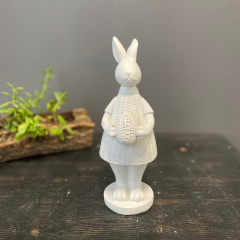 Yumurta Tutan Dişi Tavşan