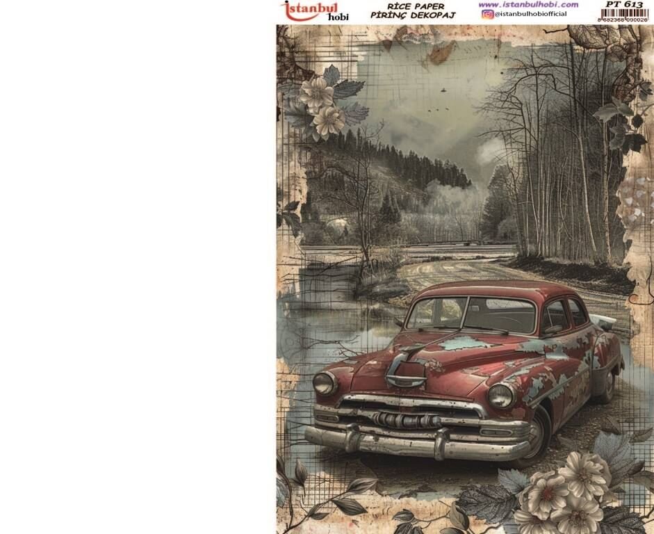 Pirinç Dekopaj PT 613