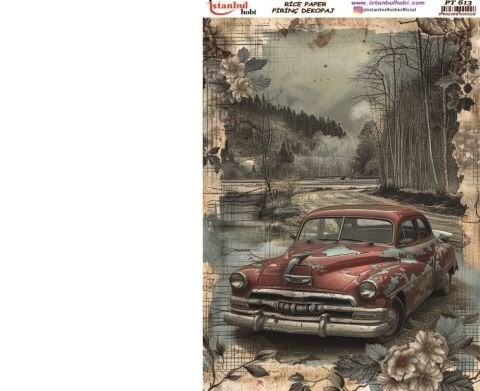 Pirinç Dekopaj PT 613