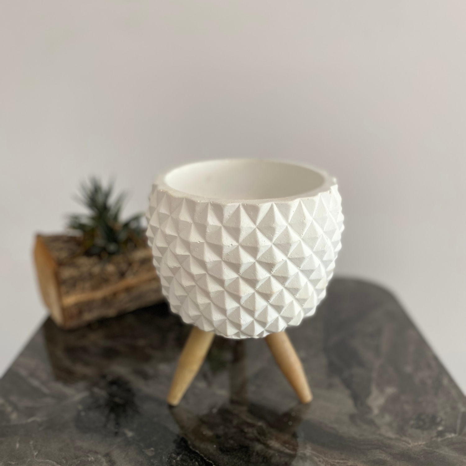 Büyük Baklavalı Saksı