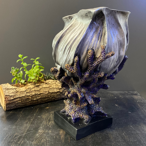 Dekoratif Mercan Üzeri Deniz Kabuğu