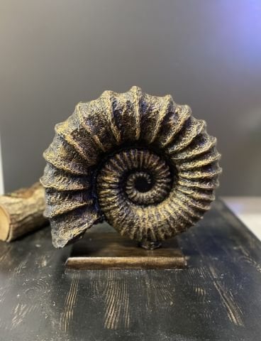 Dekoratif Gold Renk Kaideli Salyangoz