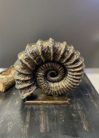 Dekoratif Gold Renk Kaideli Salyangoz