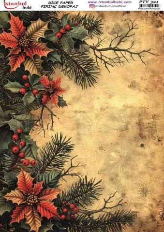 Pirinç Dekopaj PTY 321