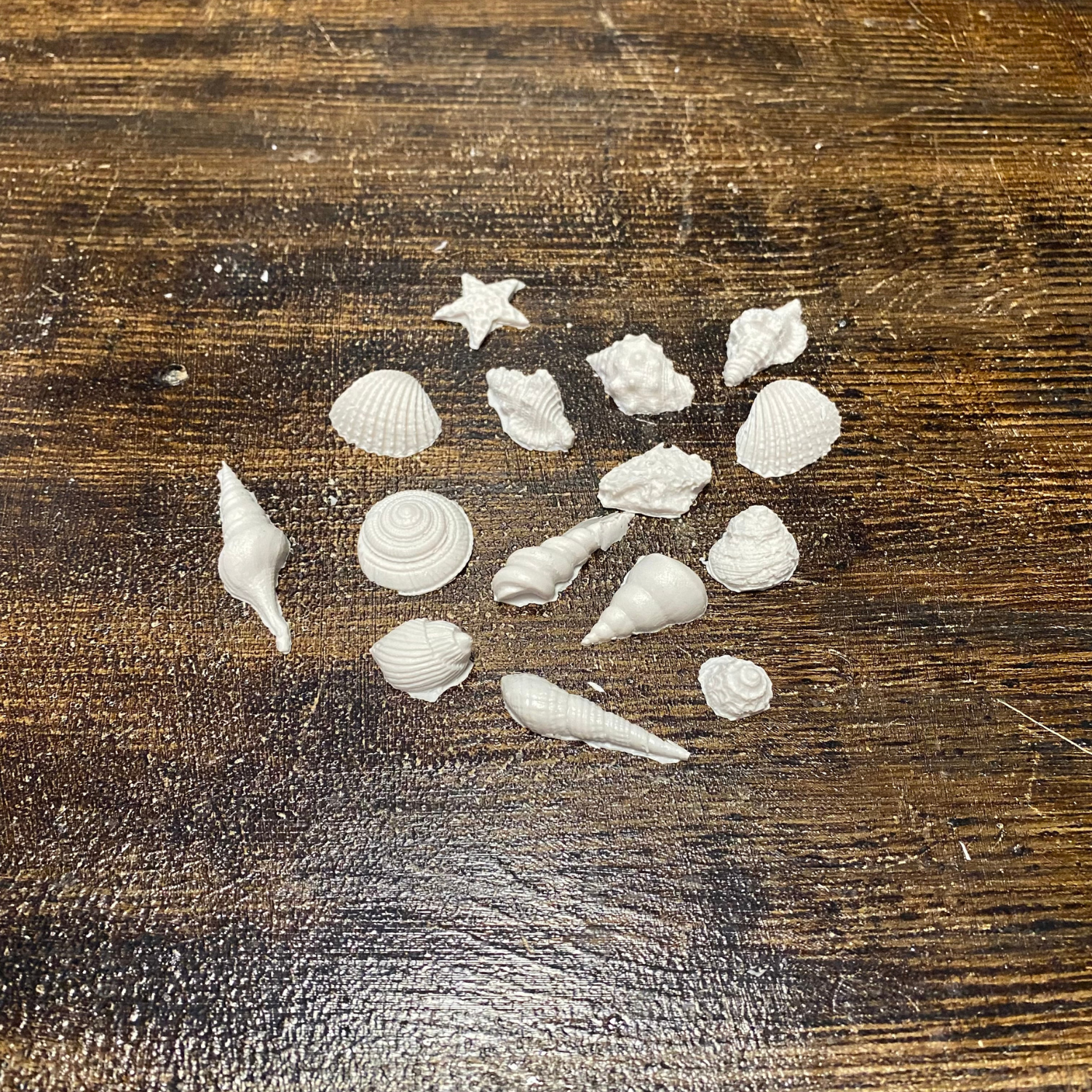 Deniz Kabuklu Küçük Polyester Objeler