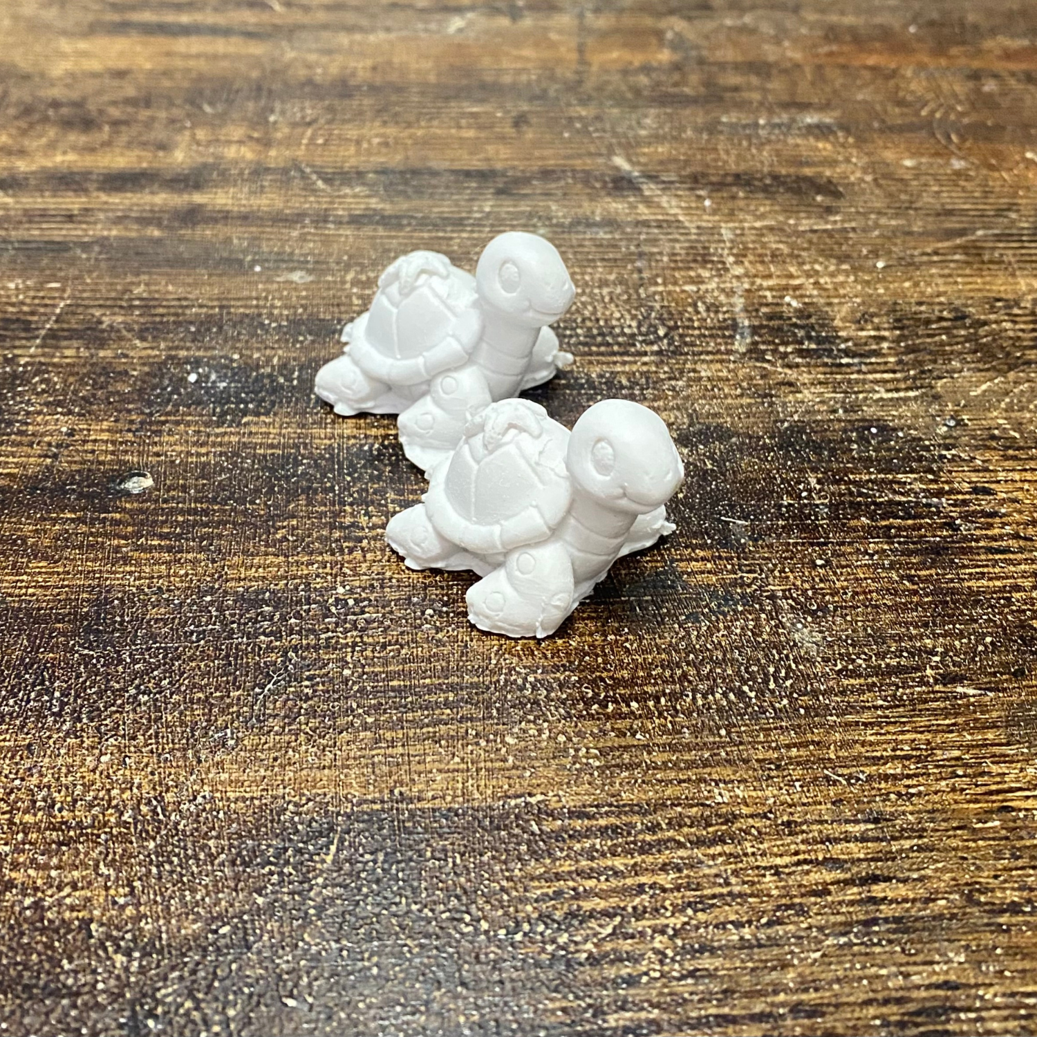 2'li Küçük Kaplumbağa Set