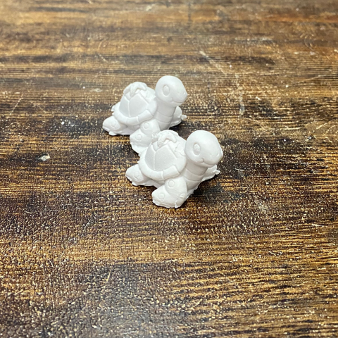 2'li Küçük Kaplumbağa Set