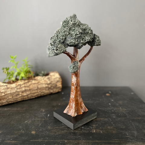 Dekoratif Dik Bonsai Ağaç