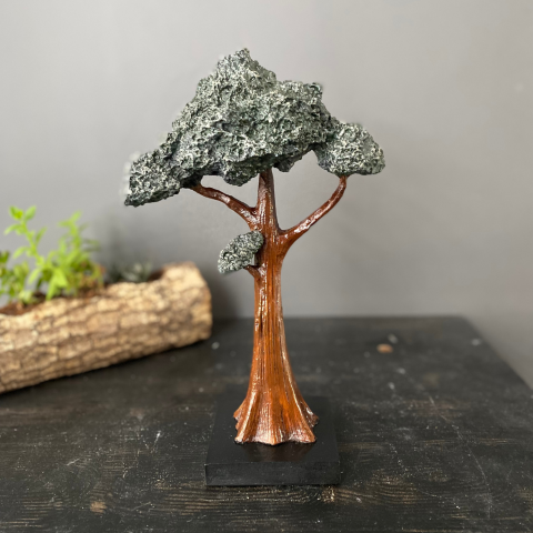 Dekoratif Dik Bonsai Ağaç