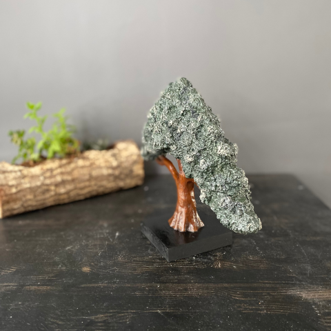 Dekoratif Yatay Bonsai Ağaç