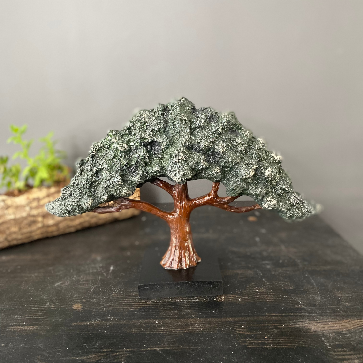 Dekoratif Yatay Bonsai Ağaç