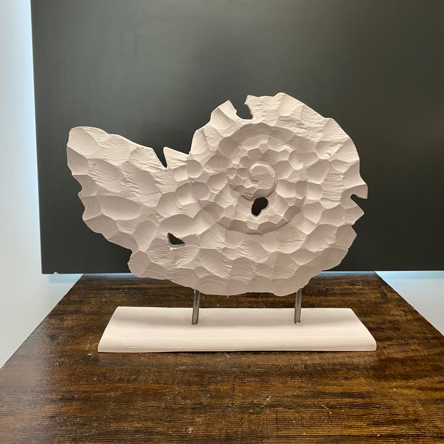 Kaideli Yatay Salyangoz