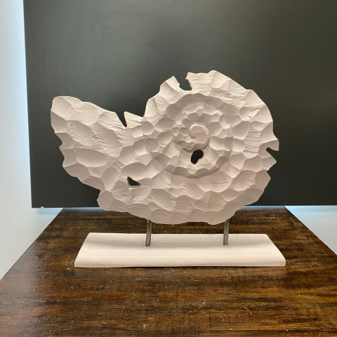 Kaideli Yatay Salyangoz