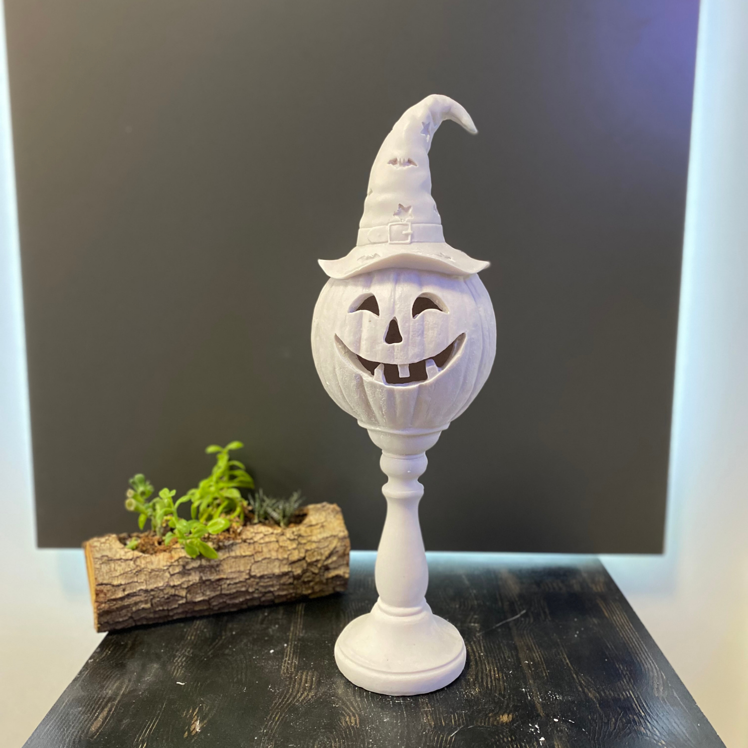 Halloween Cadı Kabak