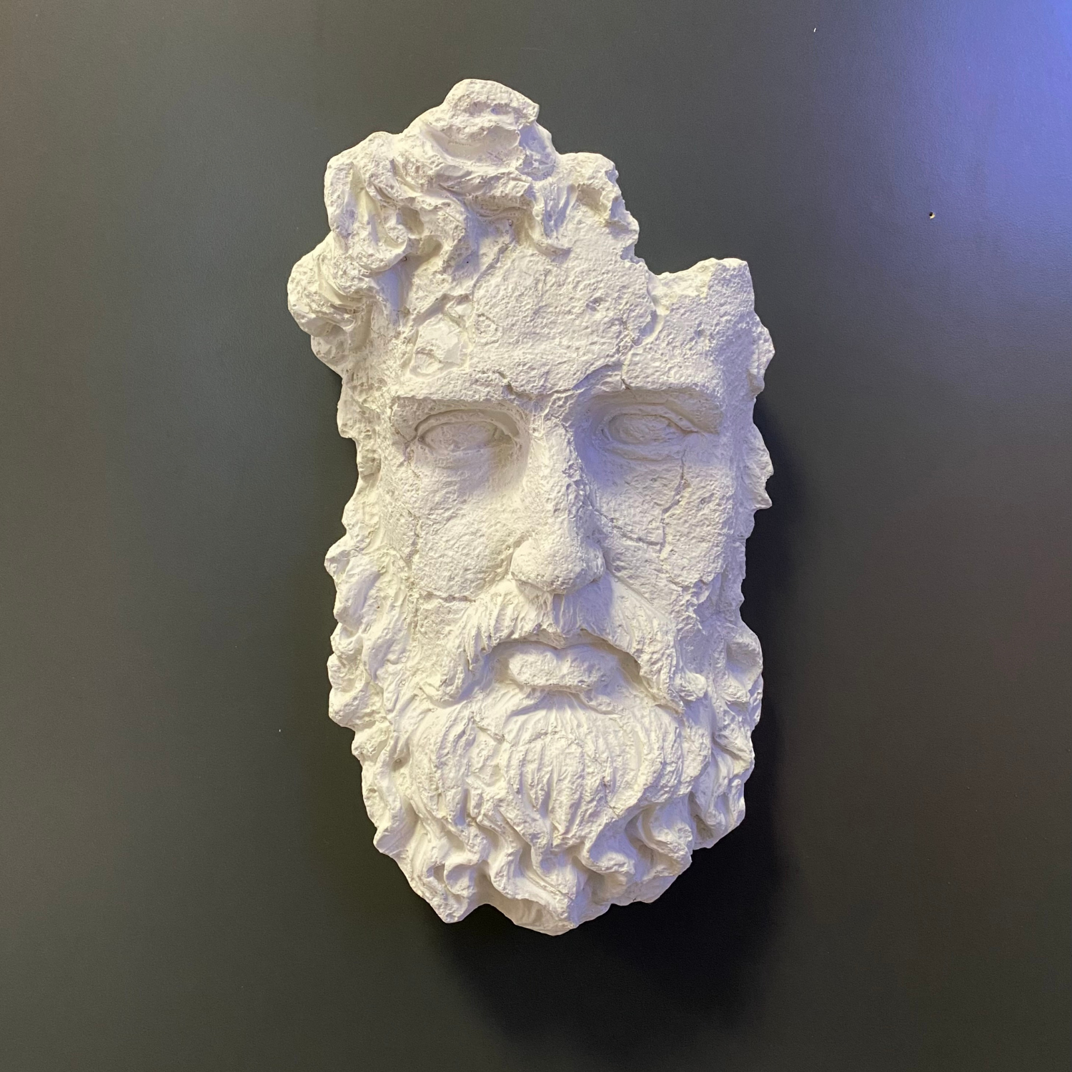 Dokulu Zeus Ham Polyester Duvar Obje