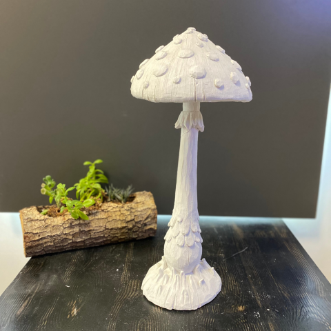 Dekoratif Mantar 40 x 16 cm