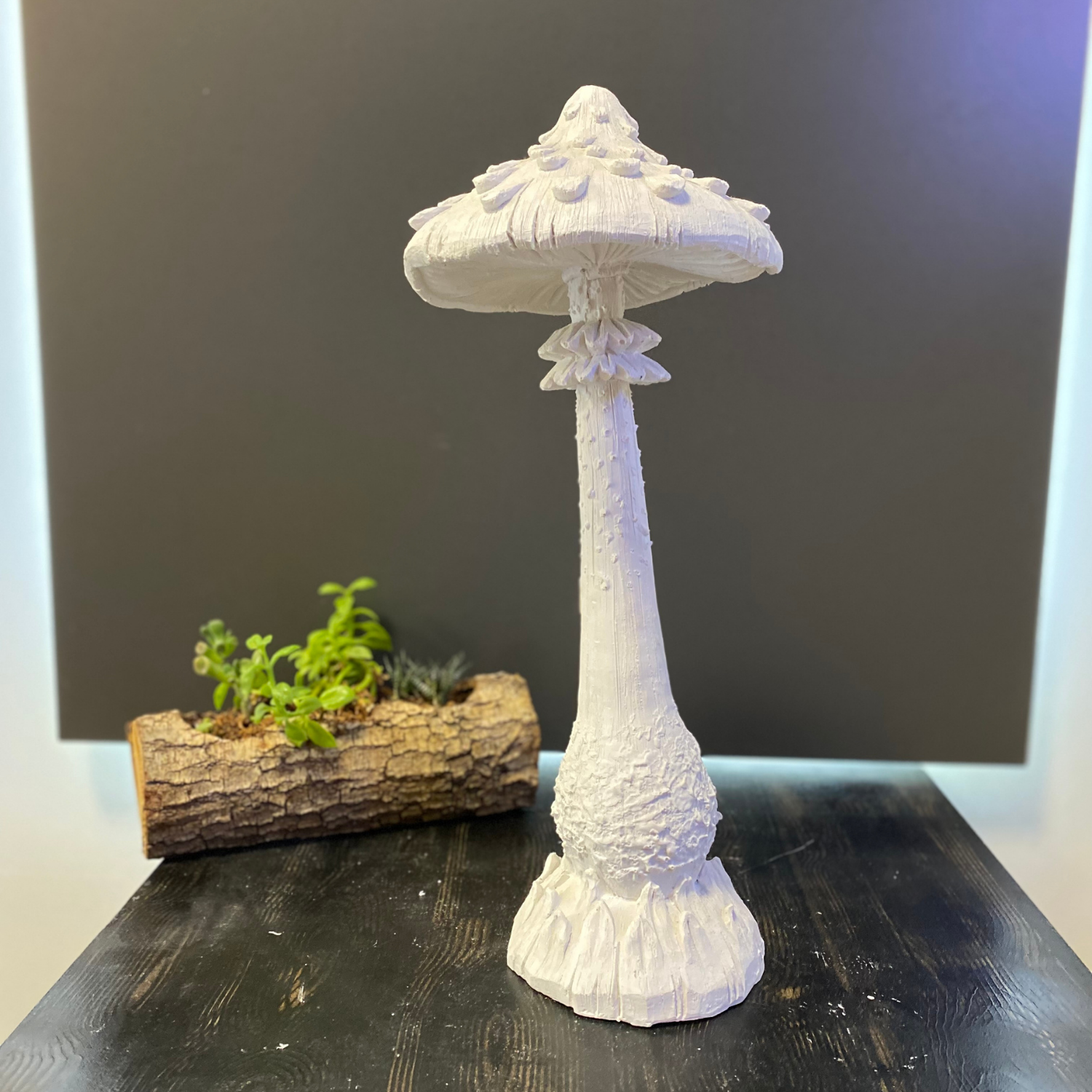 Dekoratif Mantar 55 x 19 cm